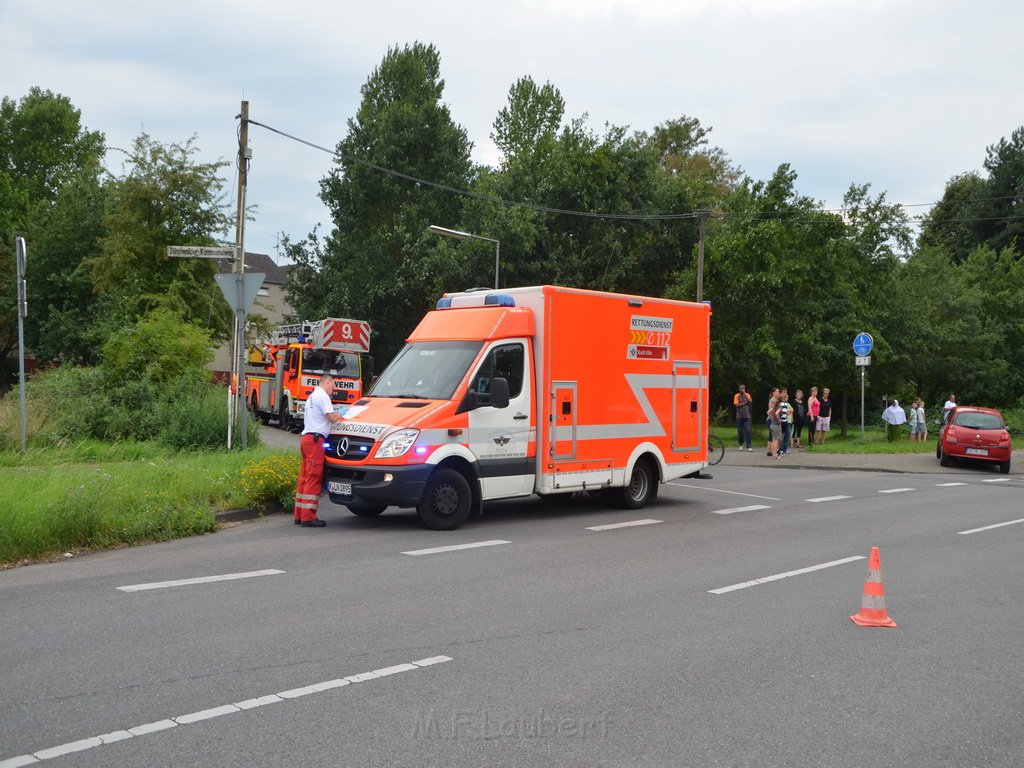 PKlemm Koeln Duennwald Am Weissen Moench Duennwalder Kommunalweg P25.JPG - Miklos Laubert